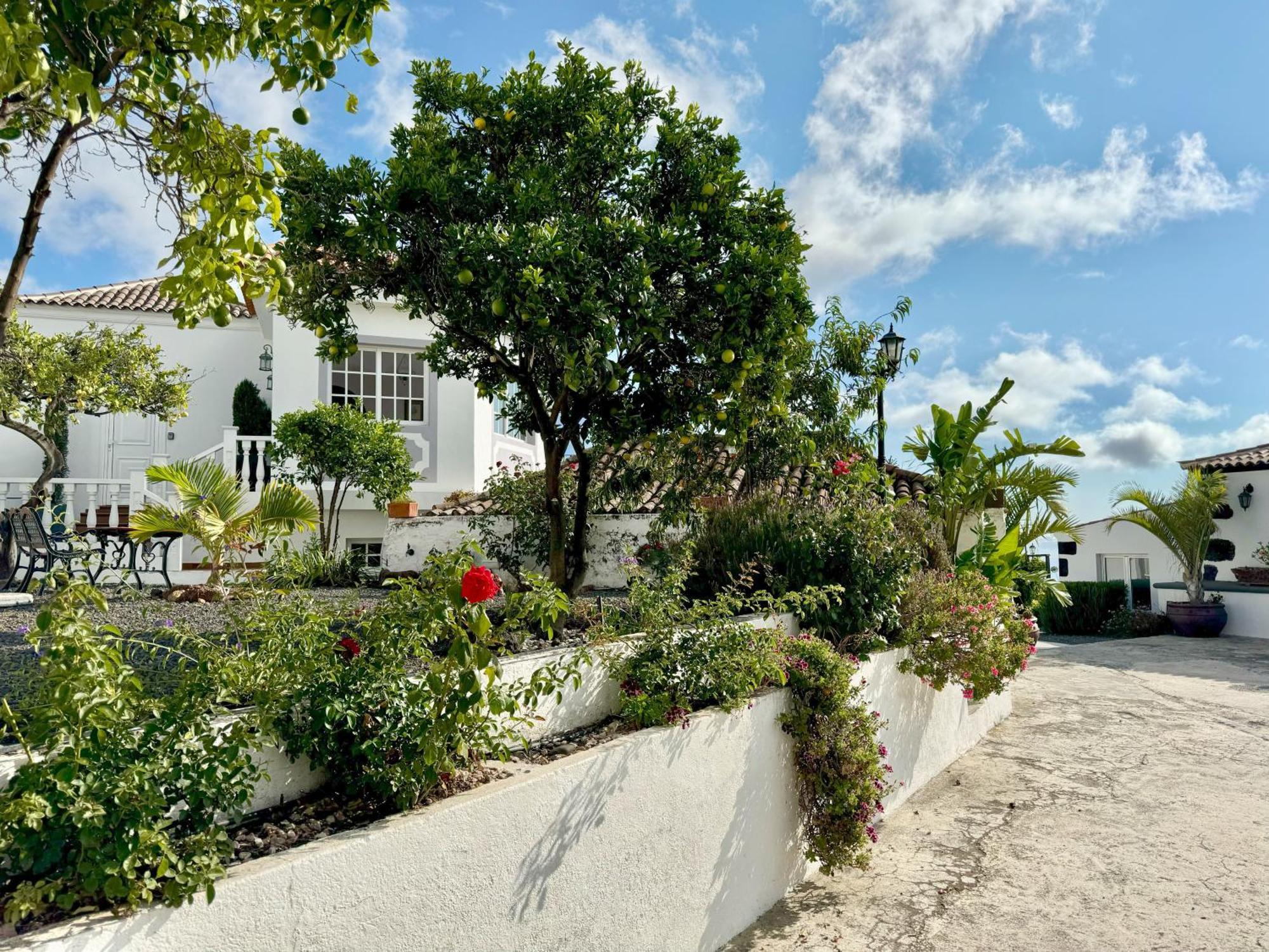 Casa Vista Mar 2 Los Laureles エル・パソ エクステリア 写真